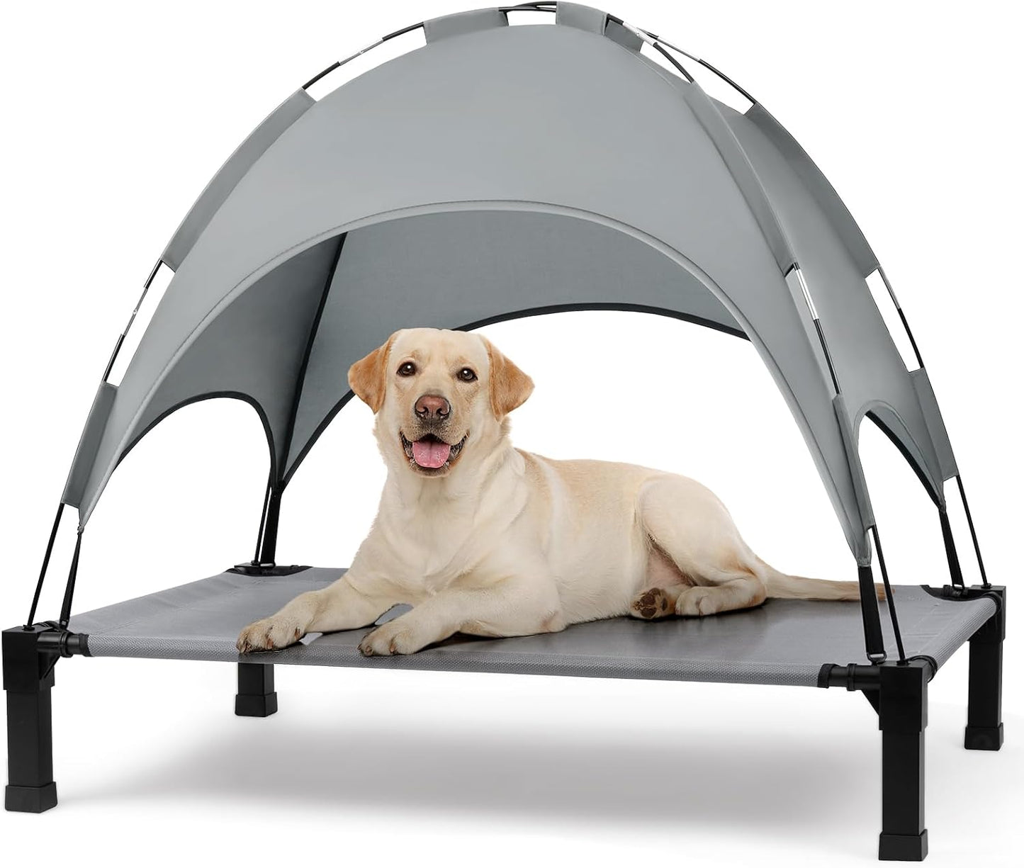Elevated Dog Bed with Canopy