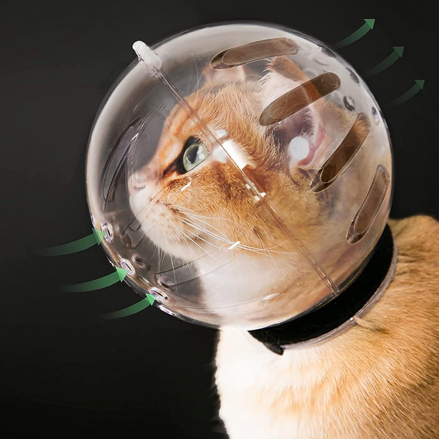 Cat Transparent Muzzle with Breathable Hood