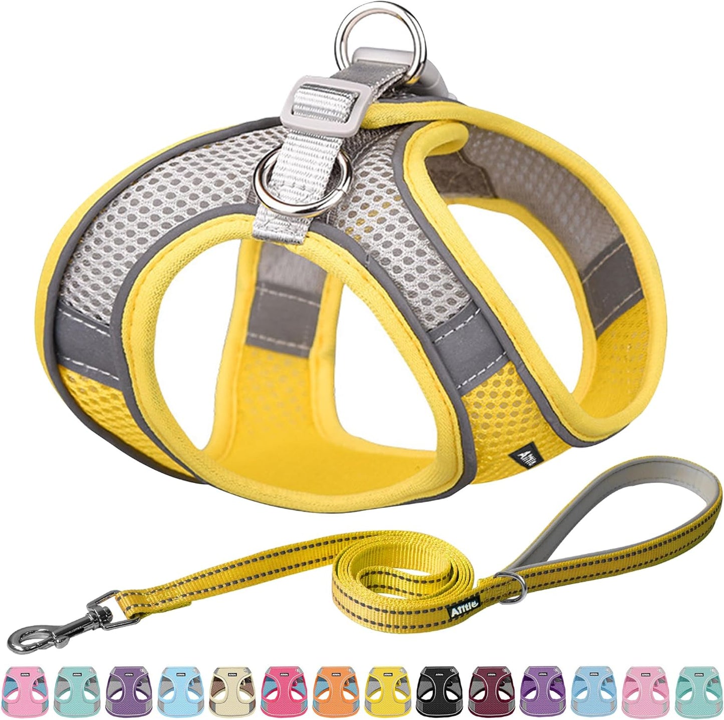 Pet Harness and Leash Set