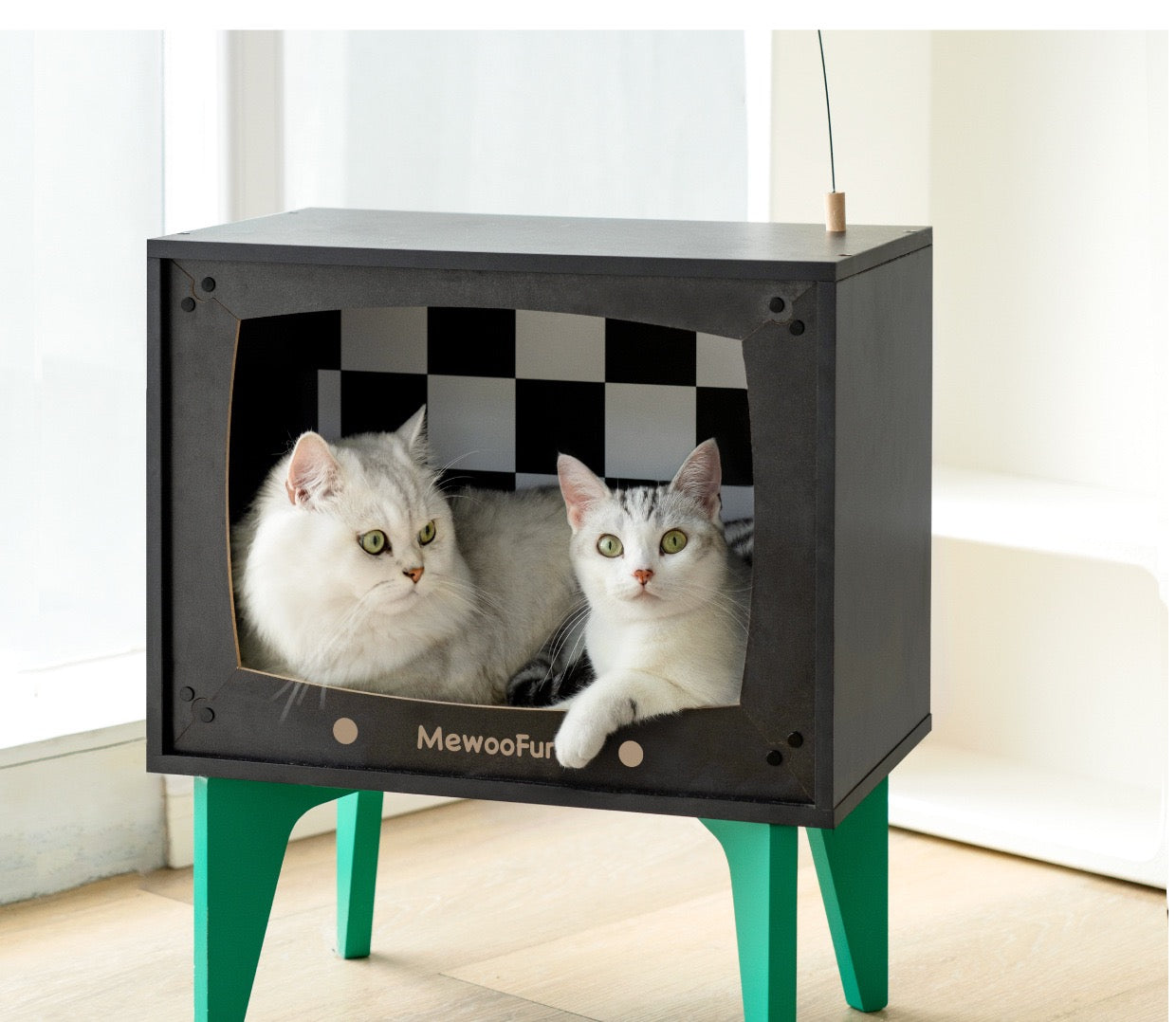 Cat TV Bed