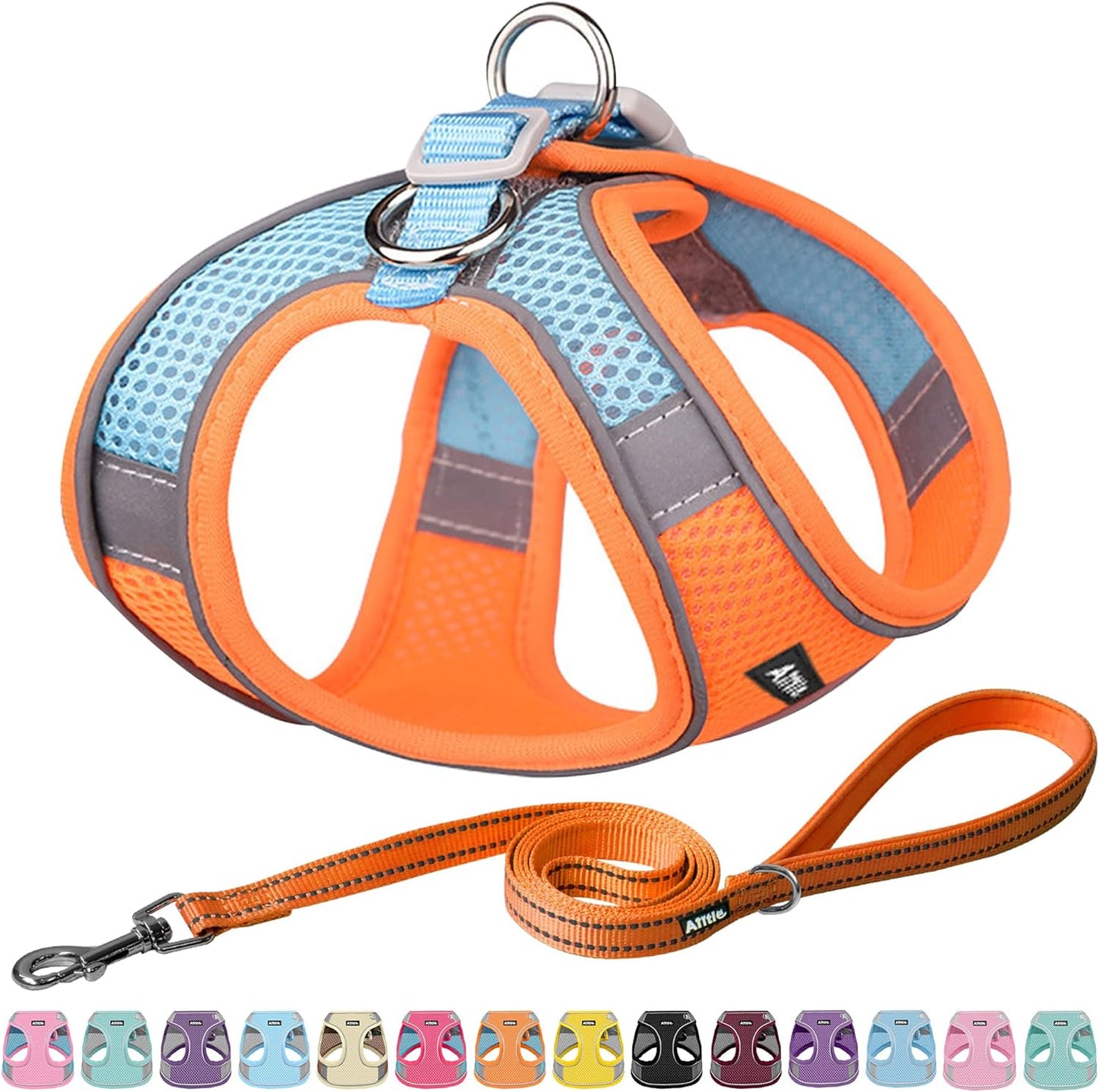 Pet Harness and Leash Set