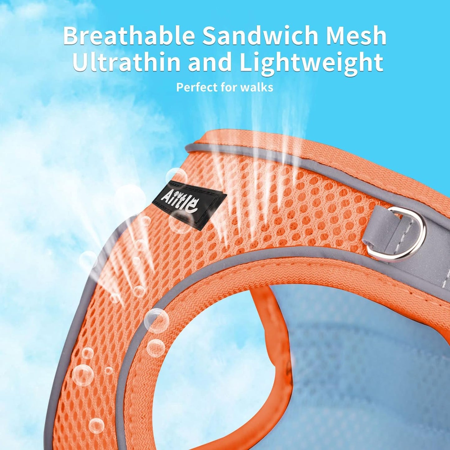 Pet Harness and Leash Set