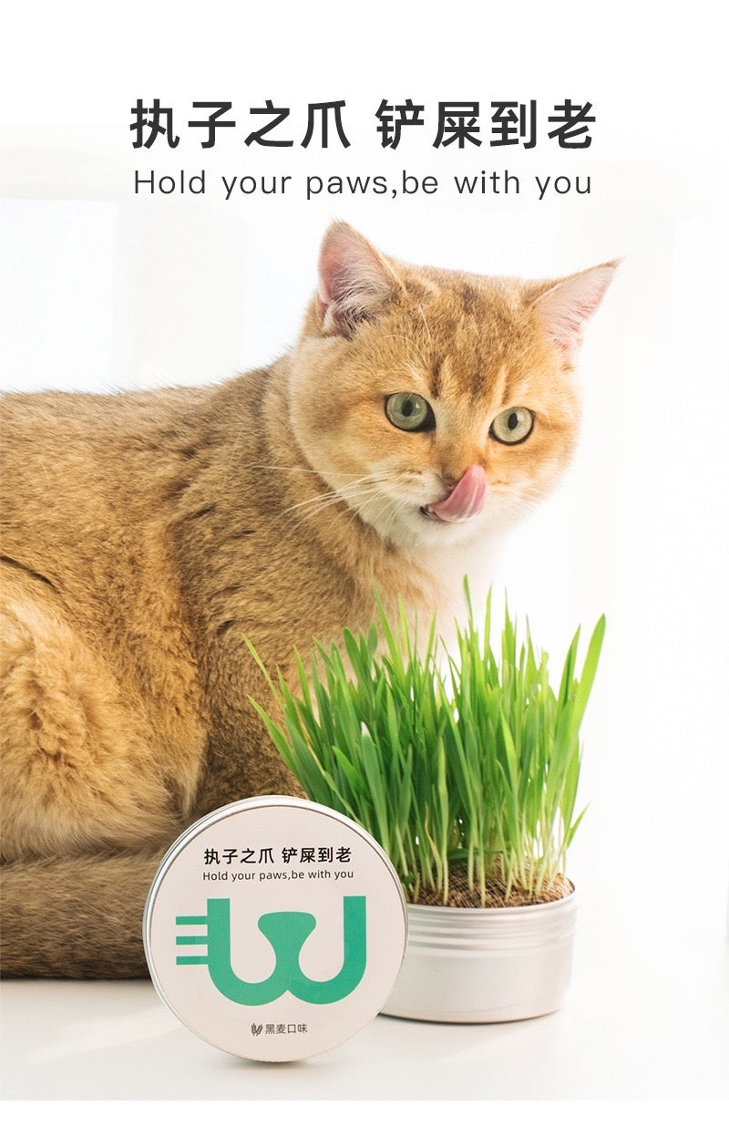 Cat Grass