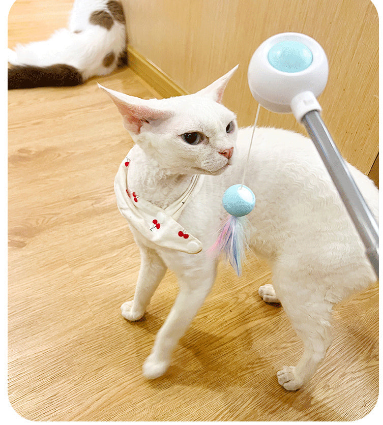 Retractable Cat Wand