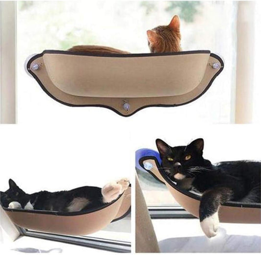 Cat Car Window Perch