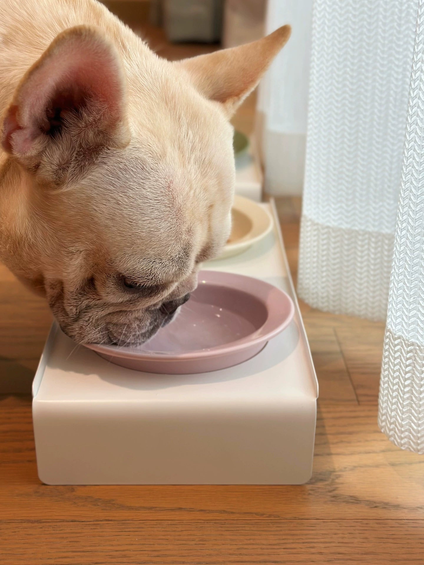 Ceramic pet bowl