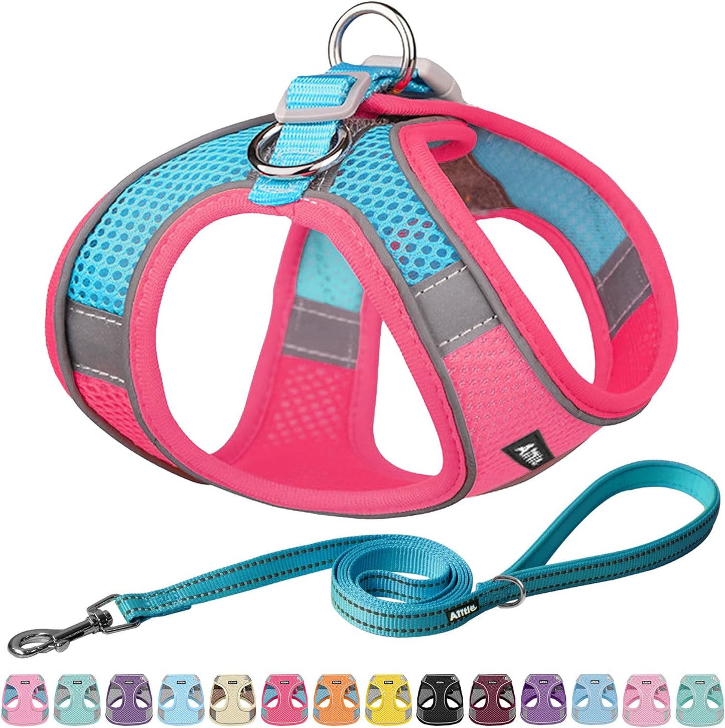 Pet Harness and Leash Set