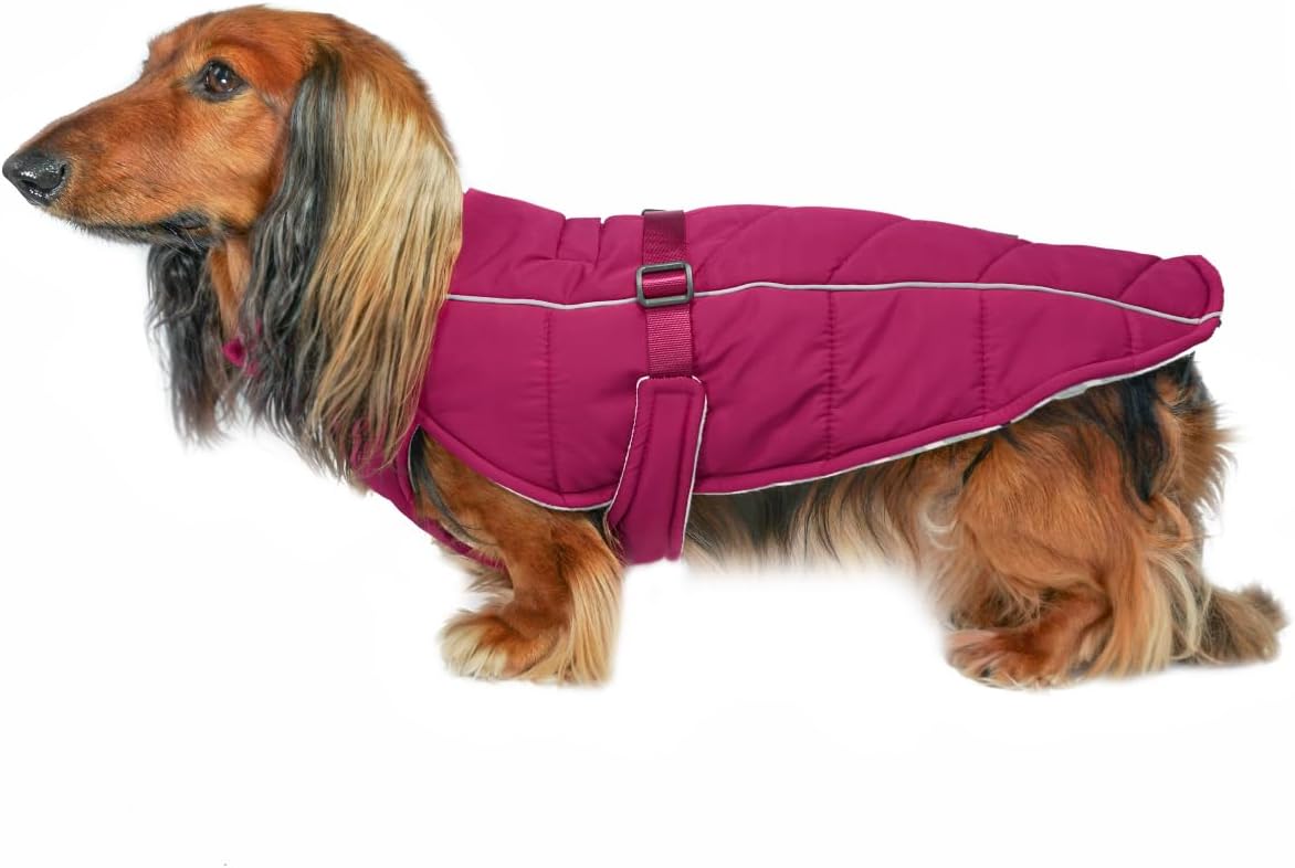Winter Dog Coat—Premium Warm and Insulated Dog Jacket with Windproof