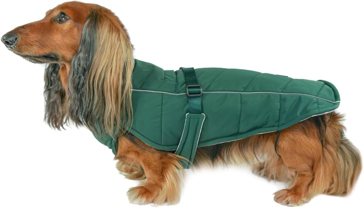 Winter Dog Coat—Premium Warm and Insulated Dog Jacket with Windproof