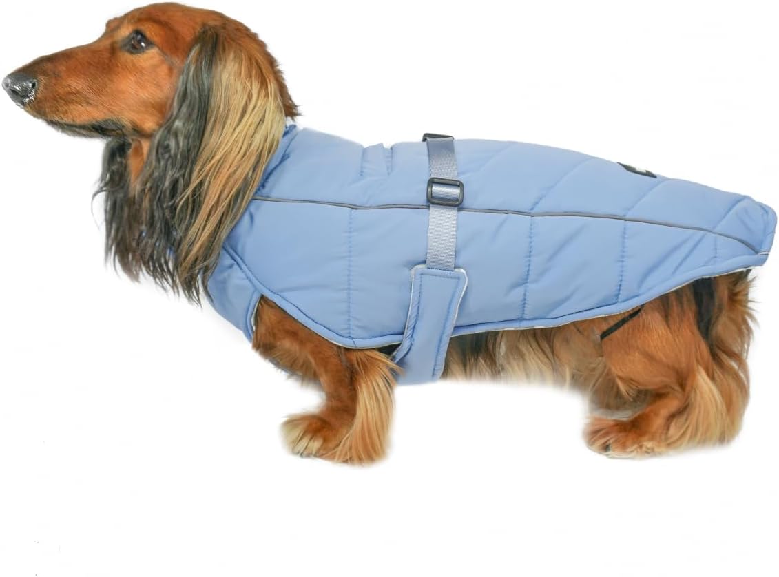 Winter Dog Coat—Premium Warm and Insulated Dog Jacket with Windproof