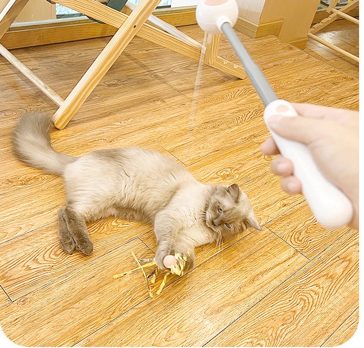 Retractable Cat Wand