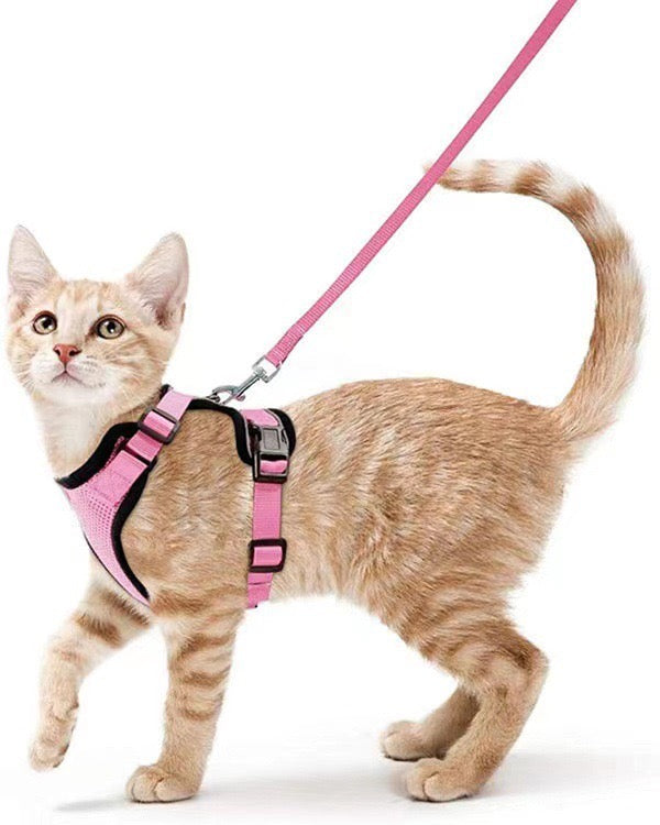 Cat Adjustable Strips Vest