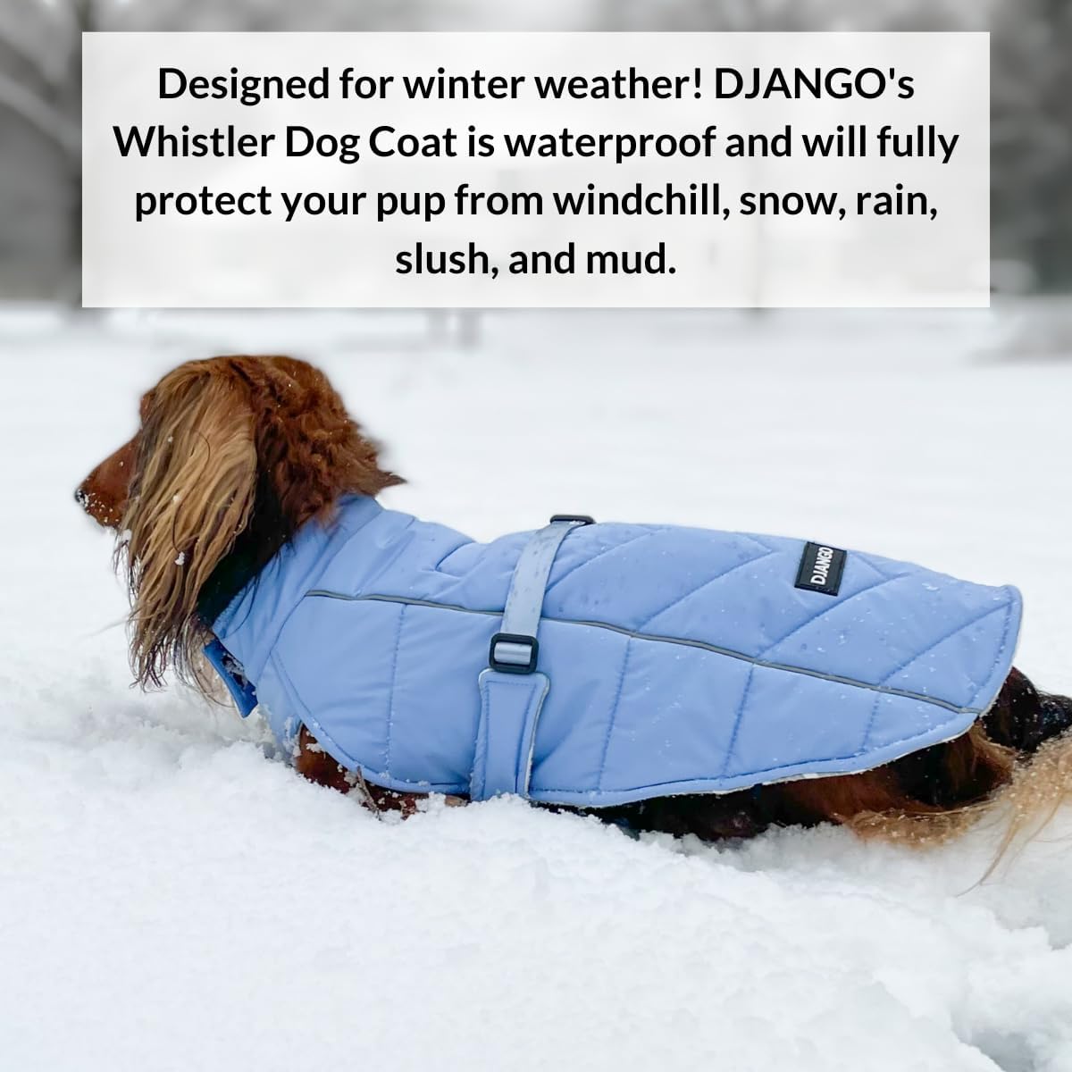 Winter Dog Coat—Premium Warm and Insulated Dog Jacket with Windproof