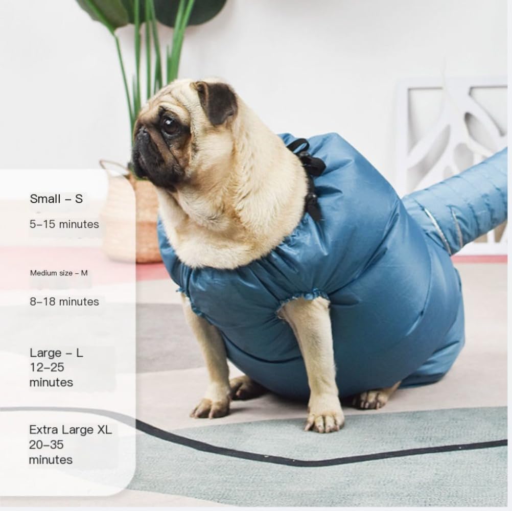 Pet Separate Circulation Room Drying Chassis Special for Cats and Dogs