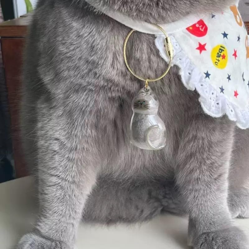 Cat keychain Hair Storage Bottle, Transparent Cat Hair Storage Box Pendants, Keychain Pet Memorial Gifts Accessories