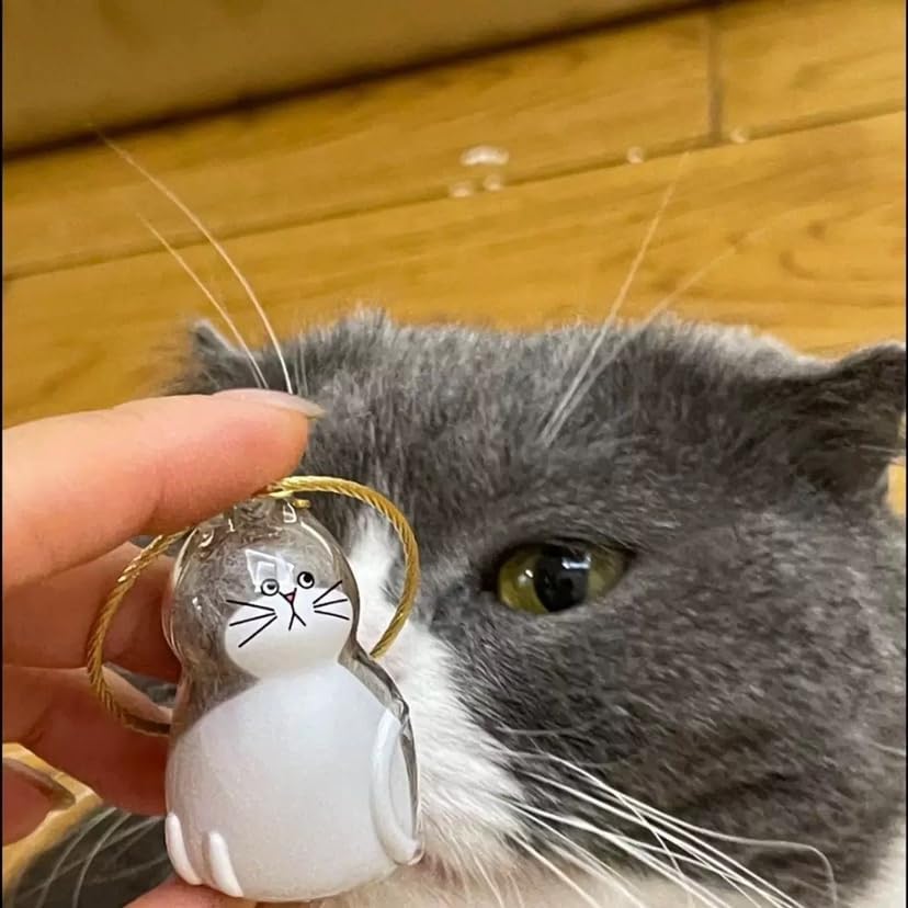 Cat keychain Hair Storage Bottle, Transparent Cat Hair Storage Box Pendants, Keychain Pet Memorial Gifts Accessories