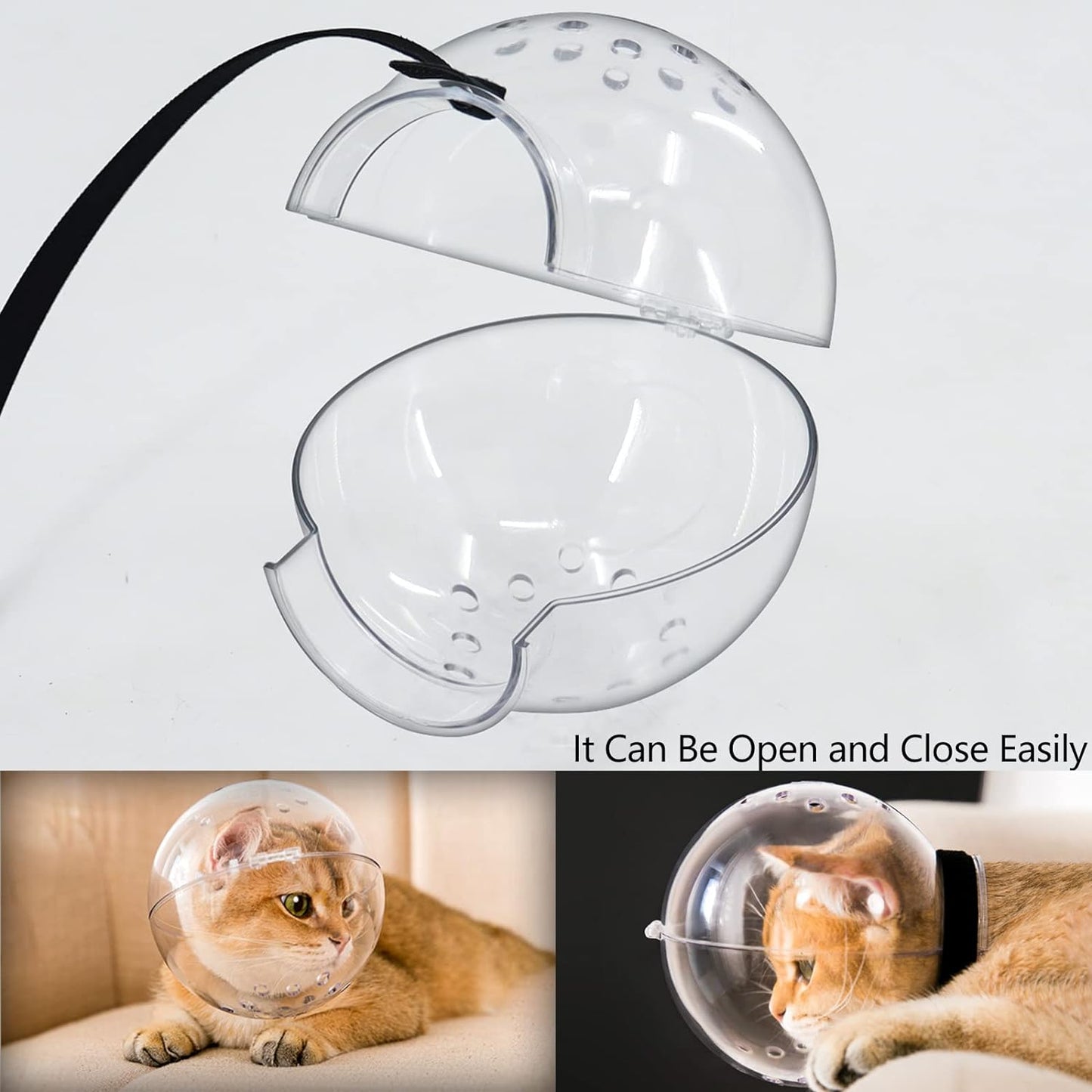 Cat Transparent Muzzle with Breathable Hood
