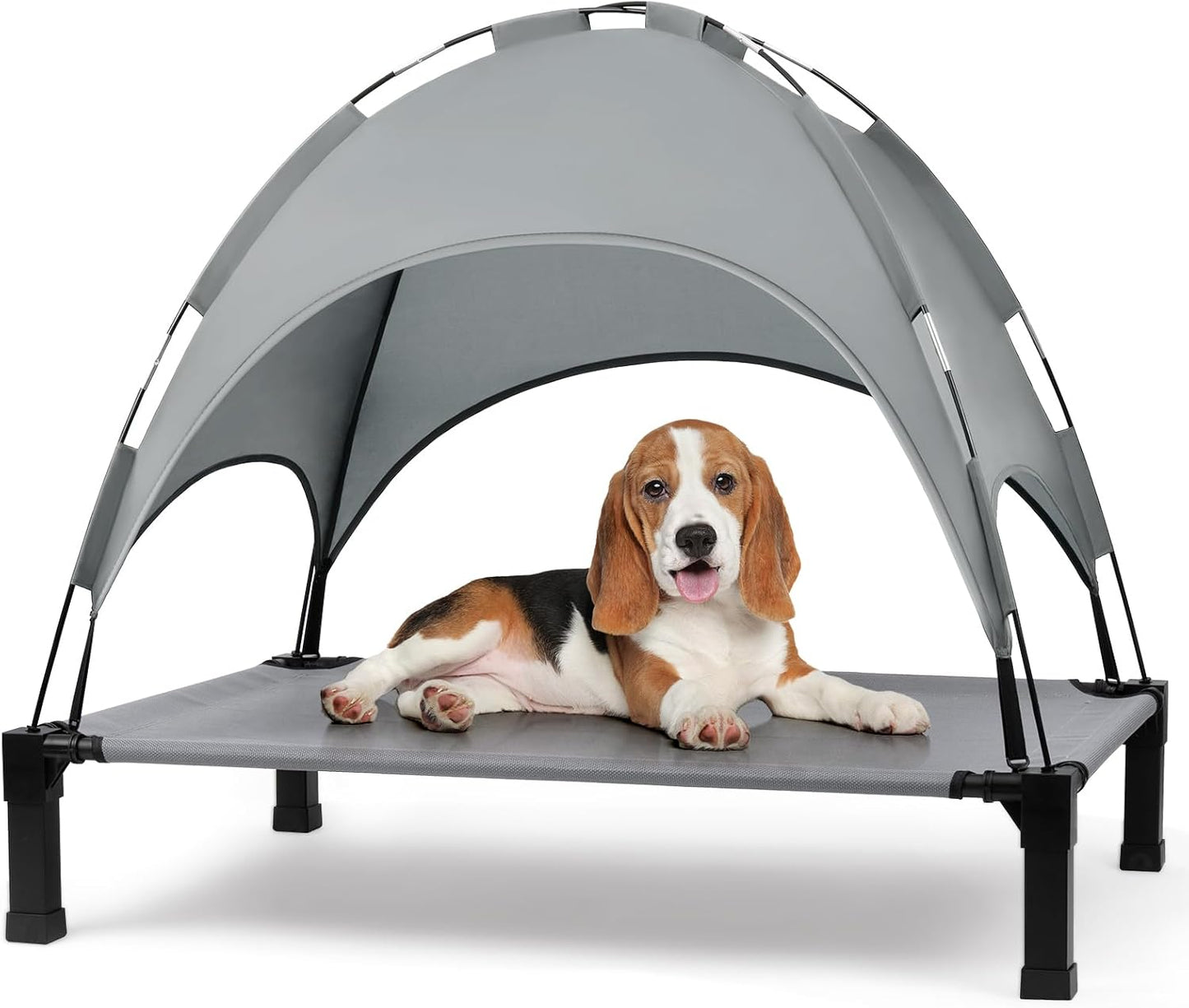 Elevated Dog Bed with Canopy