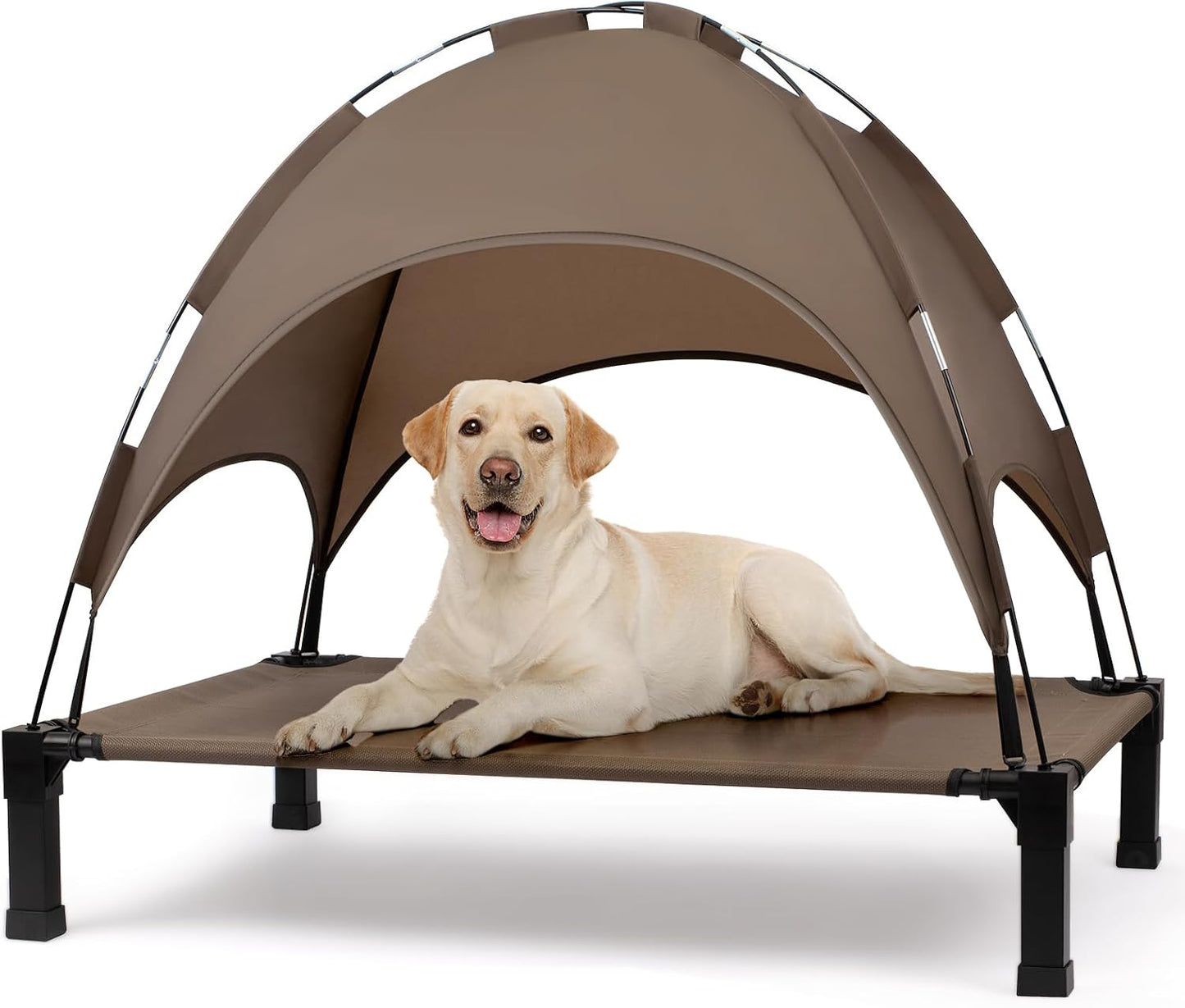 Elevated Dog Bed with Canopy