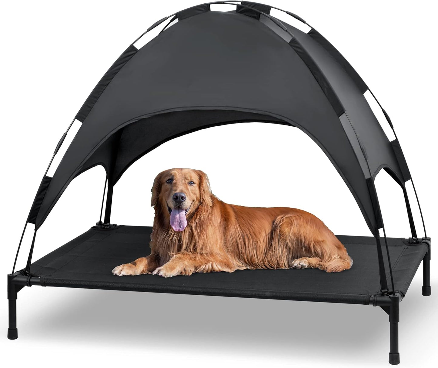 Elevated Dog Bed with Canopy