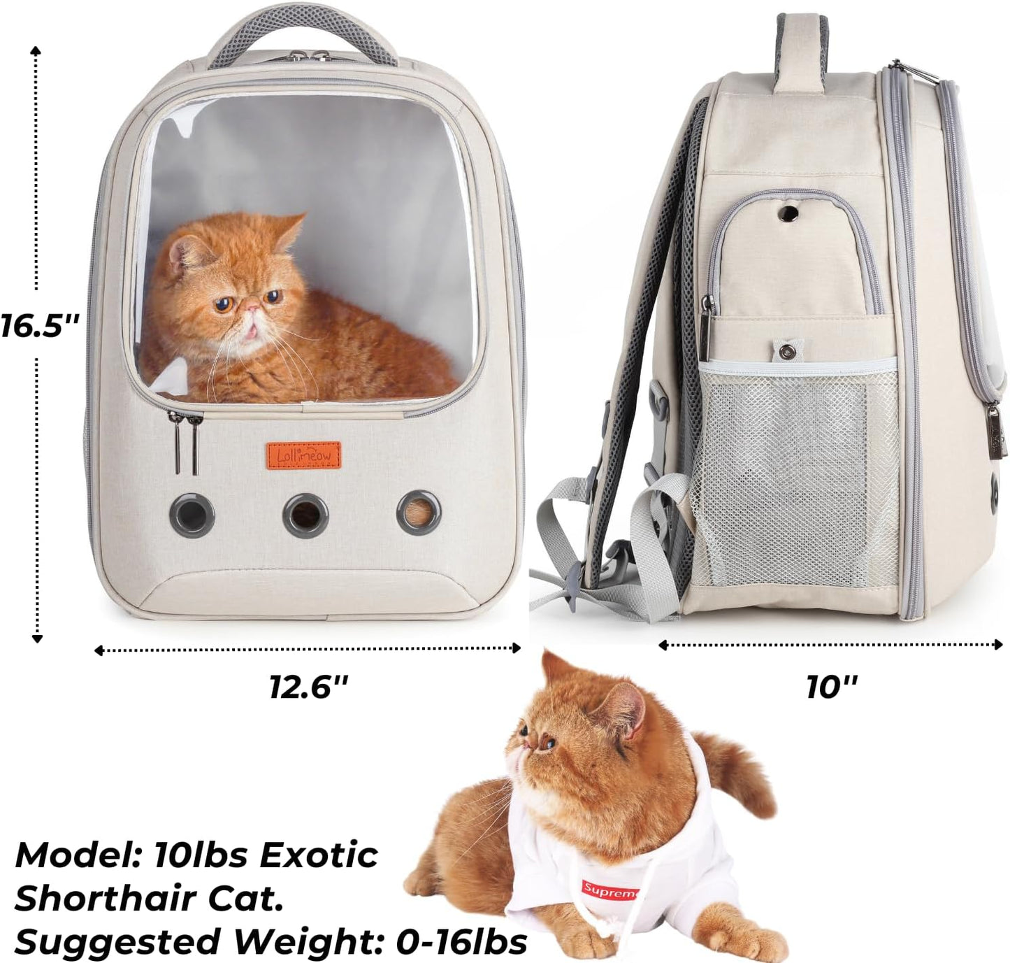 Pet Carrier Backpack