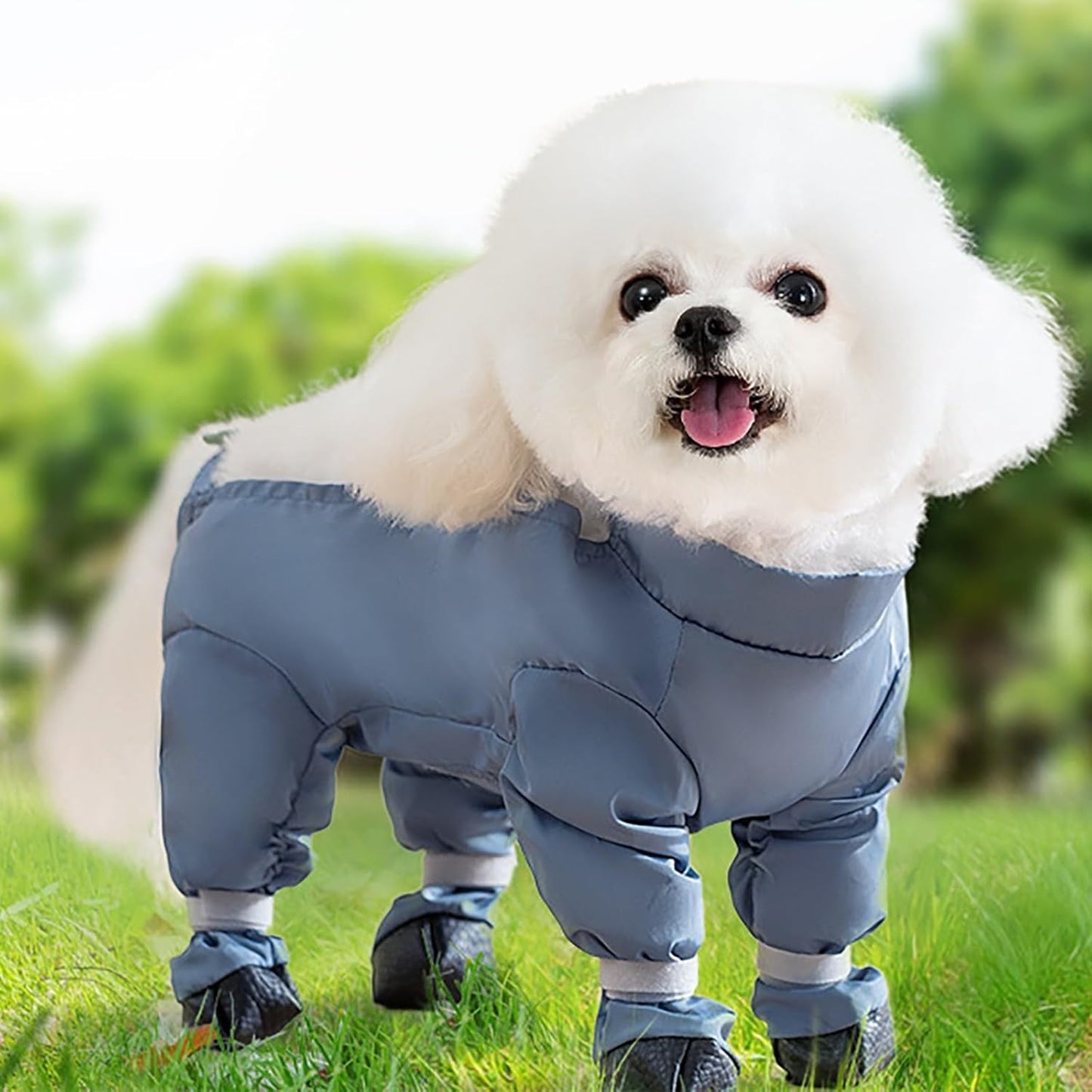 Waterproof Dog Paw Boot Leggings, Adjustable Dog Suspender Boots with Auxiliary Strap, Anti-Dirty Dogs Pants Reflective Pet Paw Protector for Dogs Winter Snow Rain Hiking Walking (M)