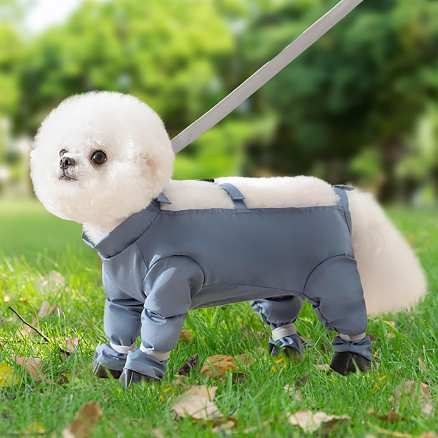 Waterproof Dog Paw Boot Leggings, Adjustable Dog Suspender Boots with Auxiliary Strap, Anti-Dirty Dogs Pants Reflective Pet Paw Protector for Dogs Winter Snow Rain Hiking Walking (M)