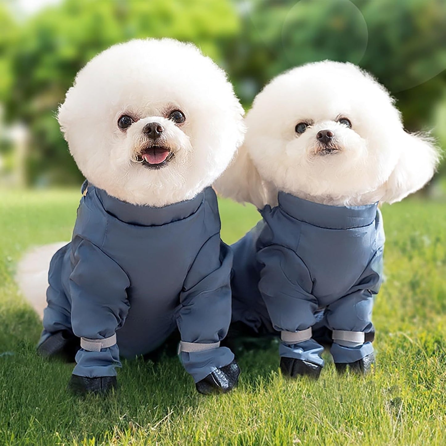 Waterproof Dog Paw Boot Leggings, Adjustable Dog Suspender Boots with Auxiliary Strap, Anti-Dirty Dogs Pants Reflective Pet Paw Protector for Dogs Winter Snow Rain Hiking Walking (M)