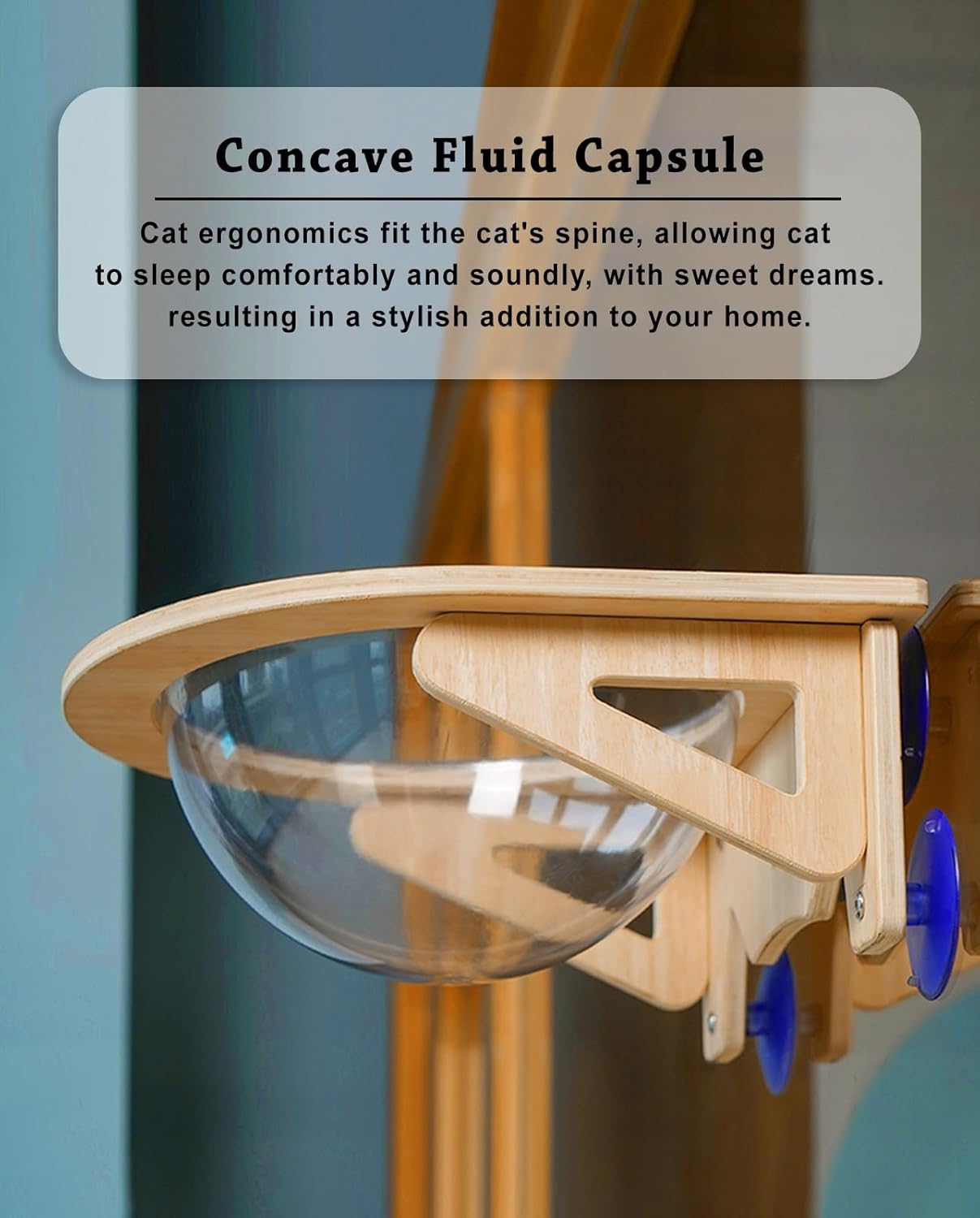 Acrylic Cat Window Perch for Indoor Cats, 20kg/30kg Load Bearing Cat Hammock