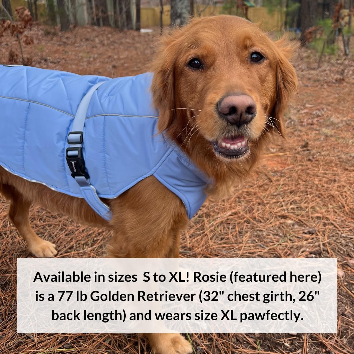 Winter Dog Coat—Premium Warm and Insulated Dog Jacket with Windproof