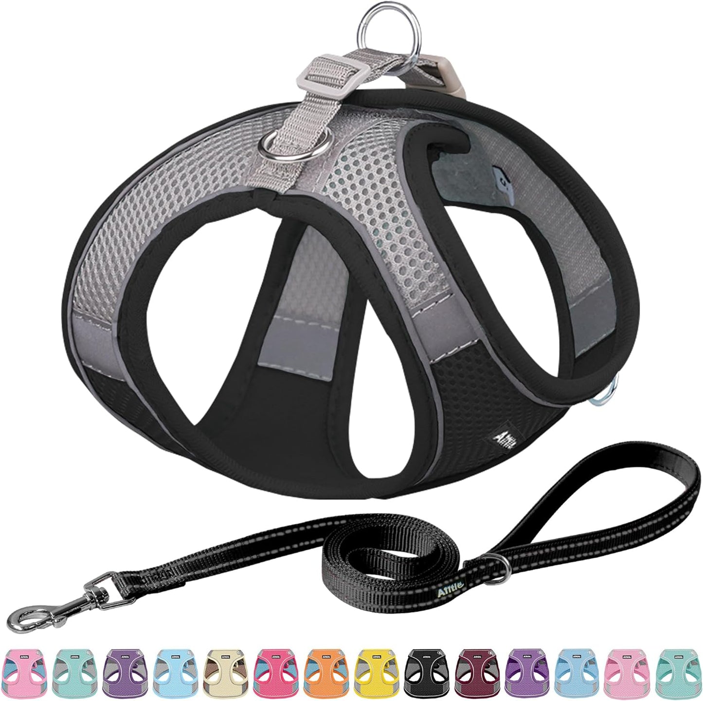 Pet Harness and Leash Set