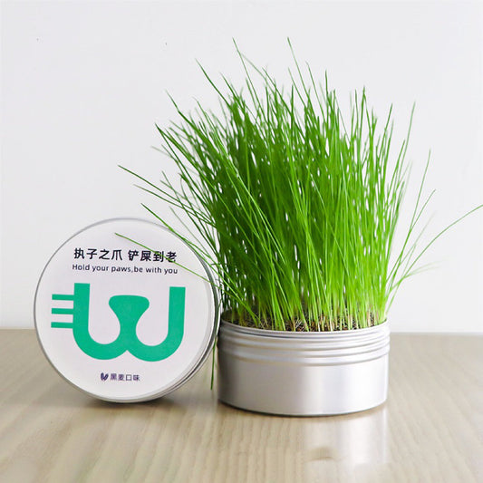 Cat Grass