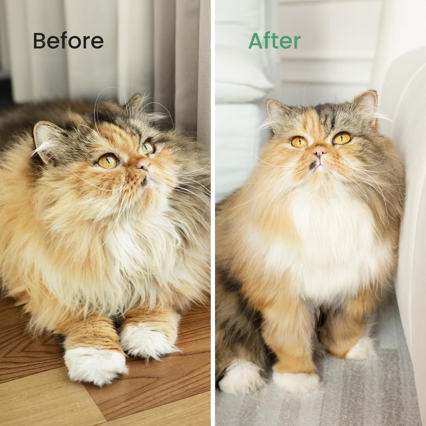 Cat and Dog Brush for Shedding and Undercoat Dematting, Pet Grooming Tool for Medium to Long Hair Pets, Skin-Safe and Lightweight