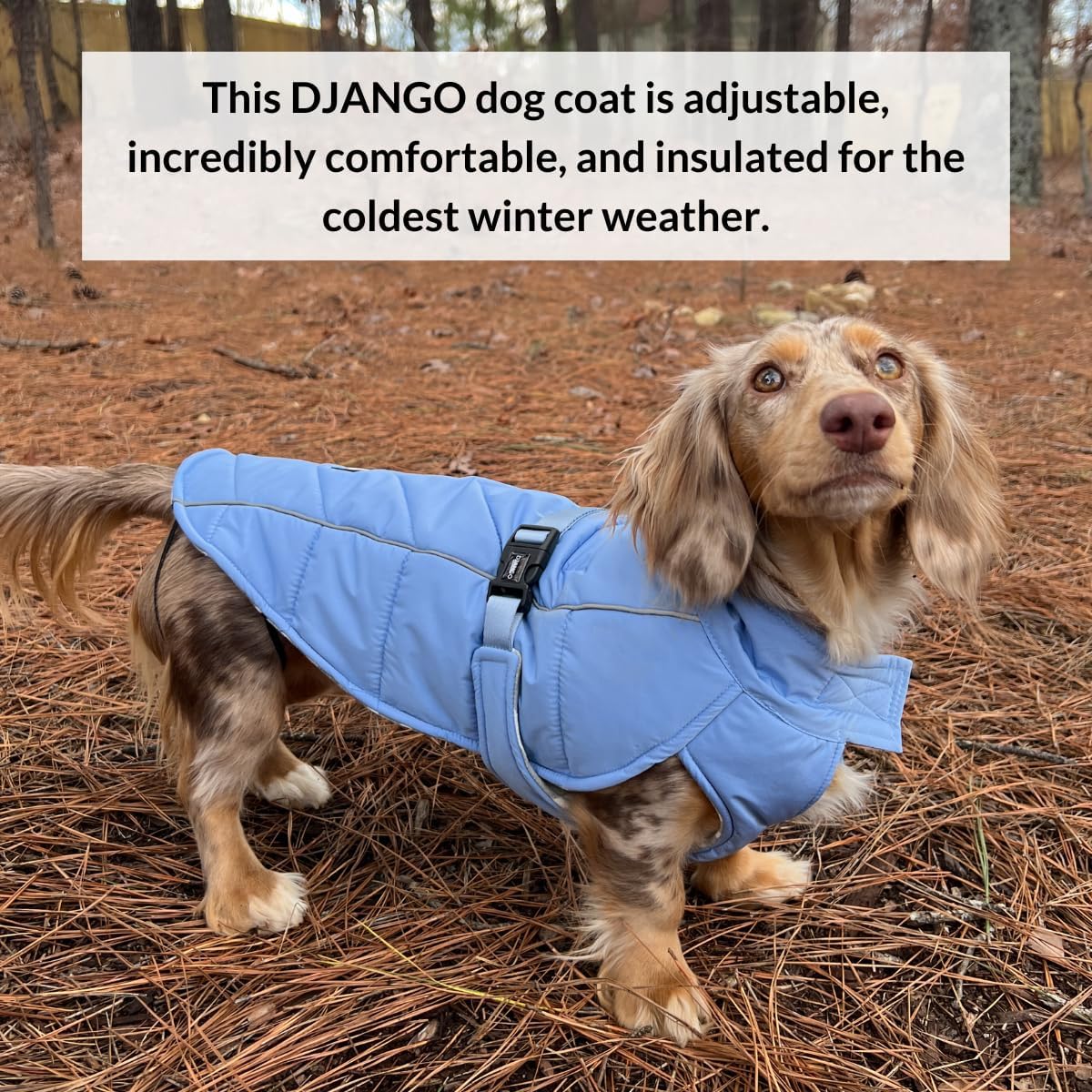 Winter Dog Coat—Premium Warm and Insulated Dog Jacket with Windproof