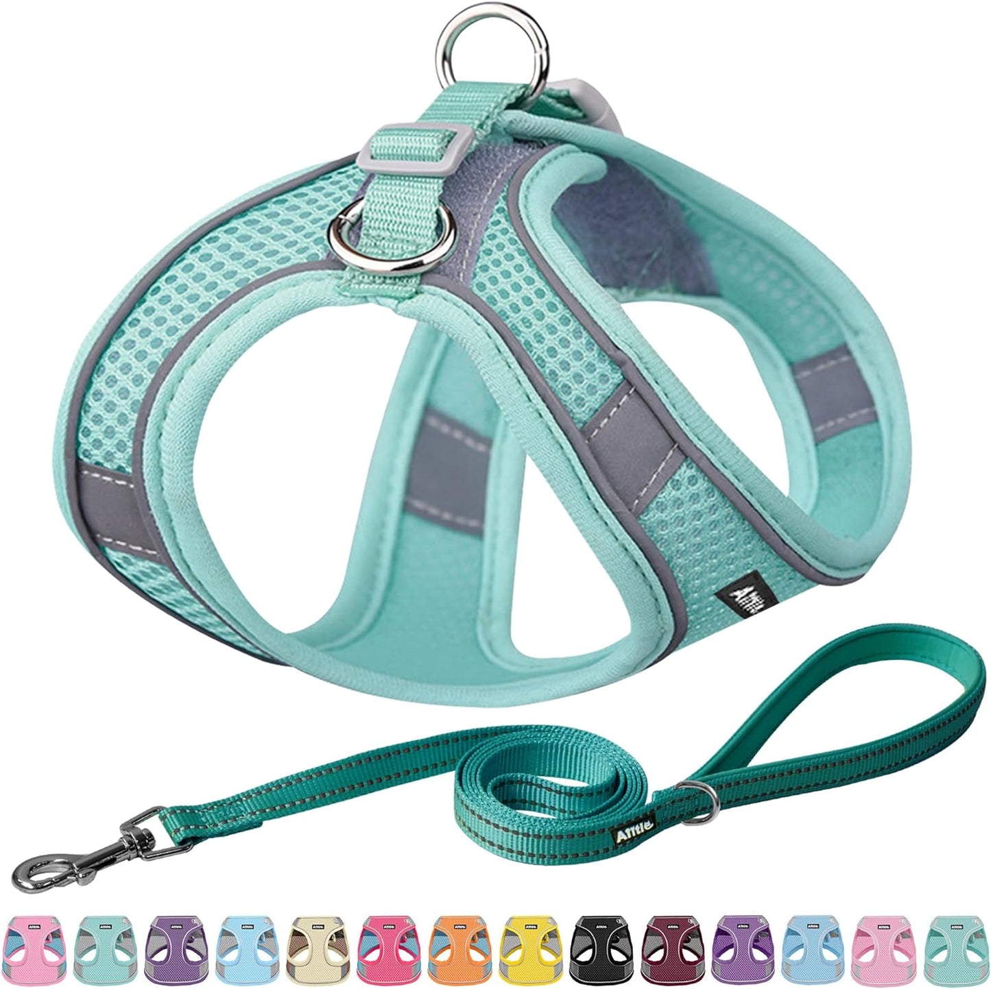 Pet Harness and Leash Set