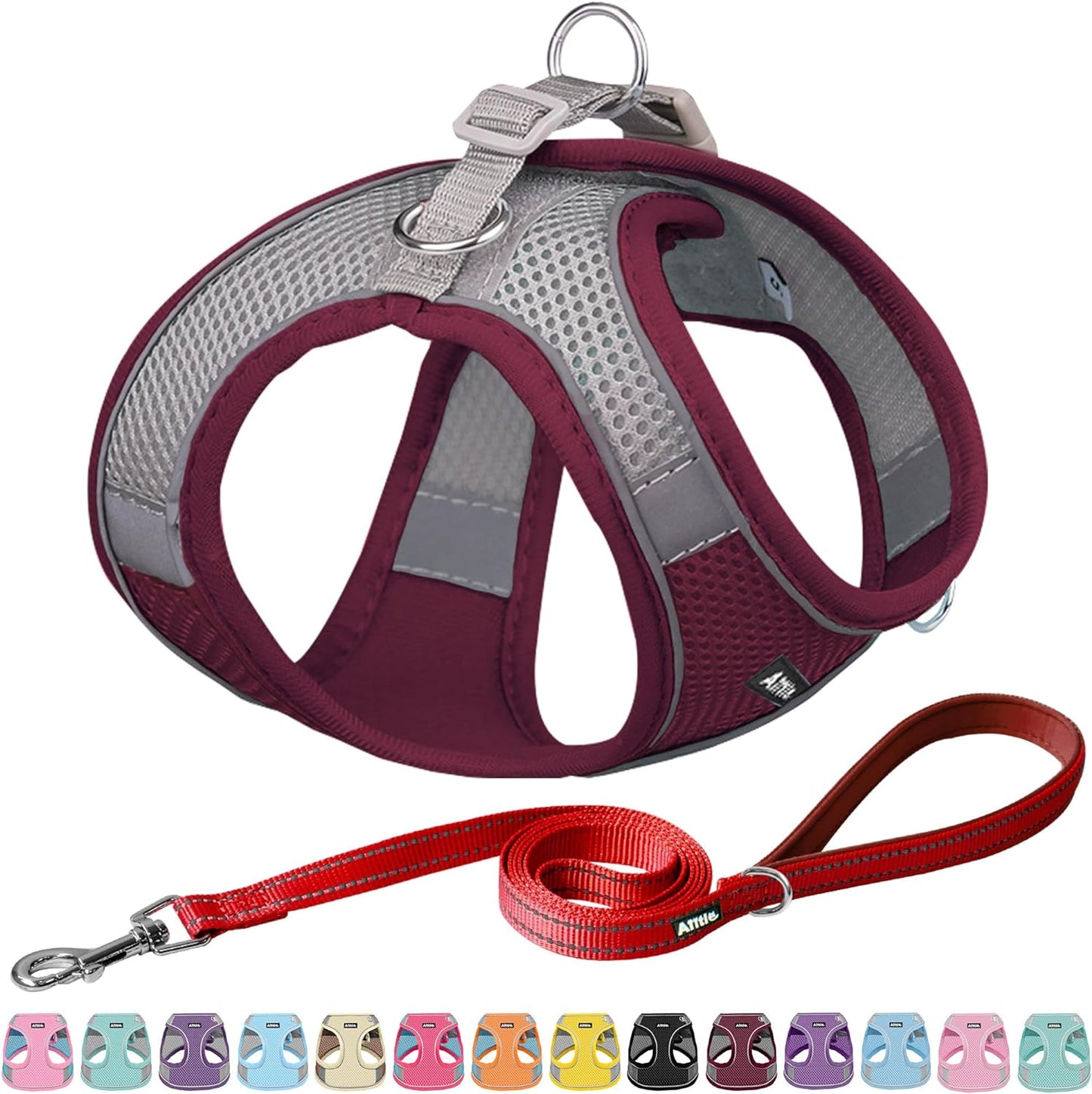 Pet Harness and Leash Set