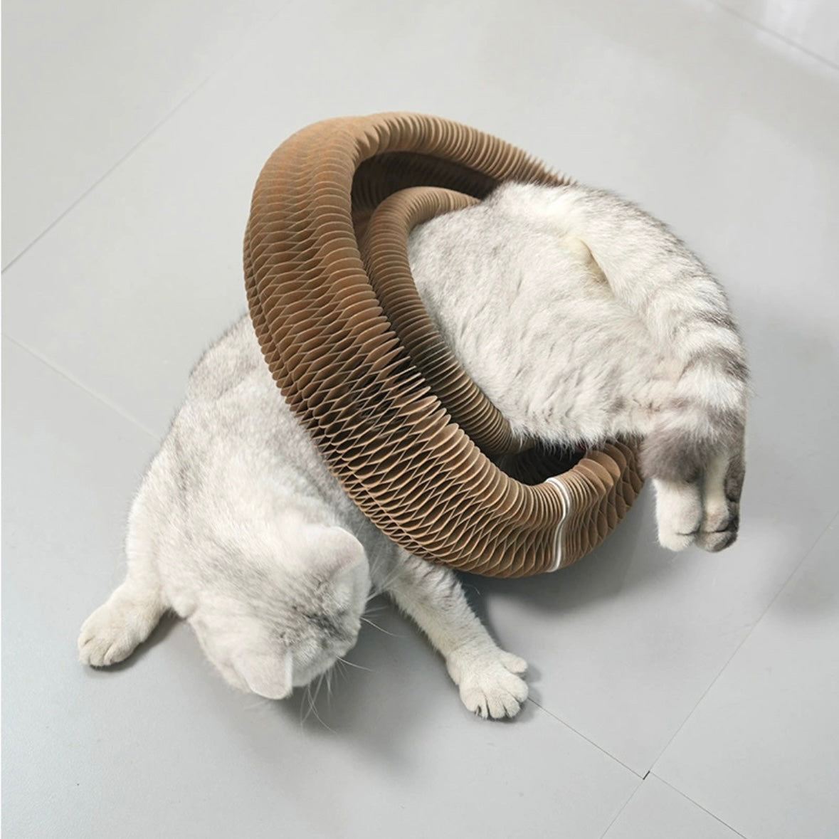 Magic Organ Cat Scratching Board With Playing Ball