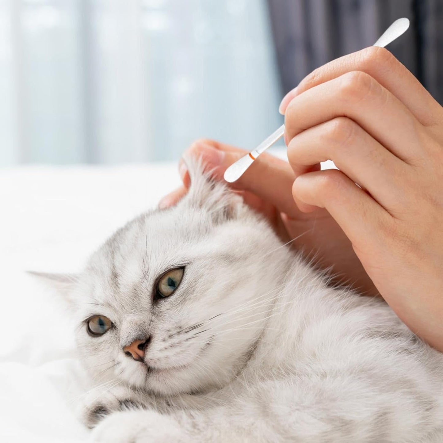 Pet Ear Cleaning Cotton Swabs,Multipurpose Ear Cleaning Cotton Swabs - 50PCS