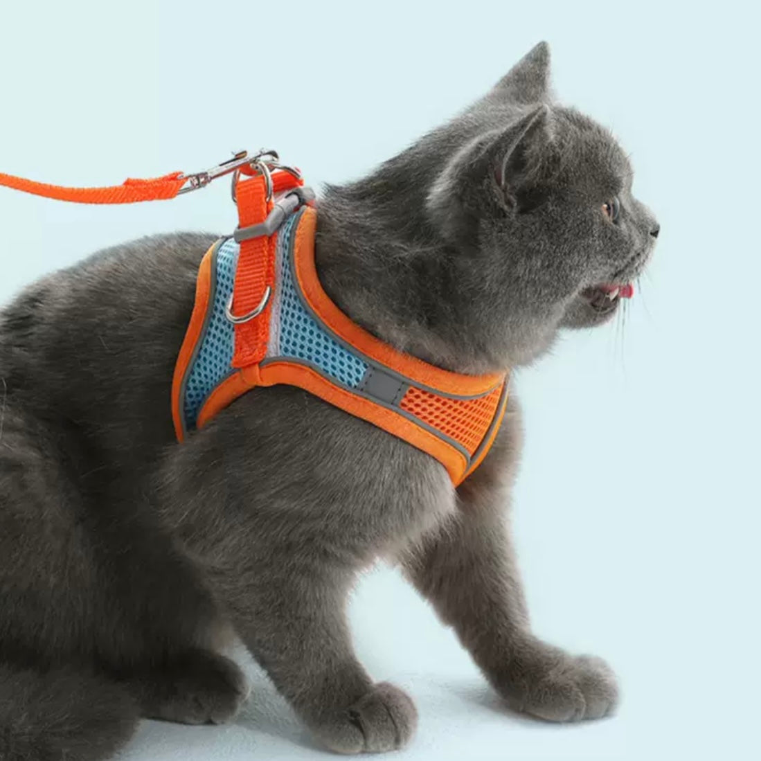 Pet Harness and Leash Set