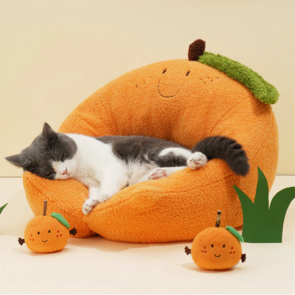 Cat bed