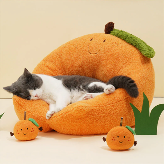 Cat bed