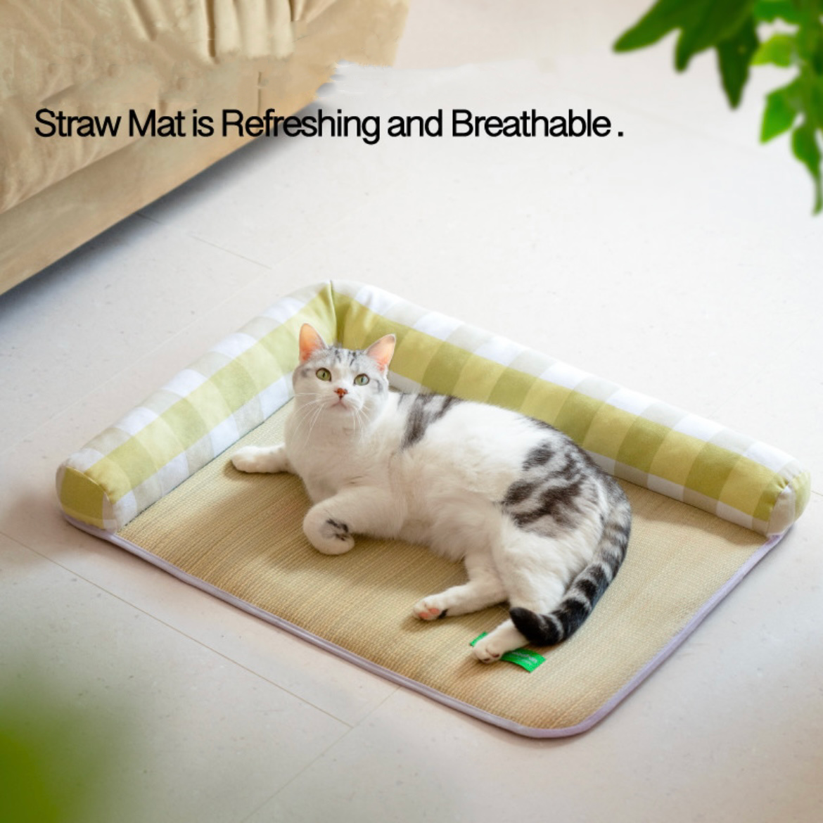 Pet Mat