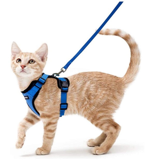 Cat Adjustable Strips Vest