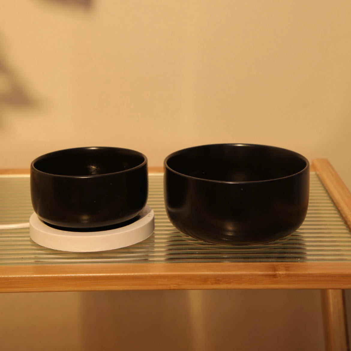 Thermostatic Water Bowl