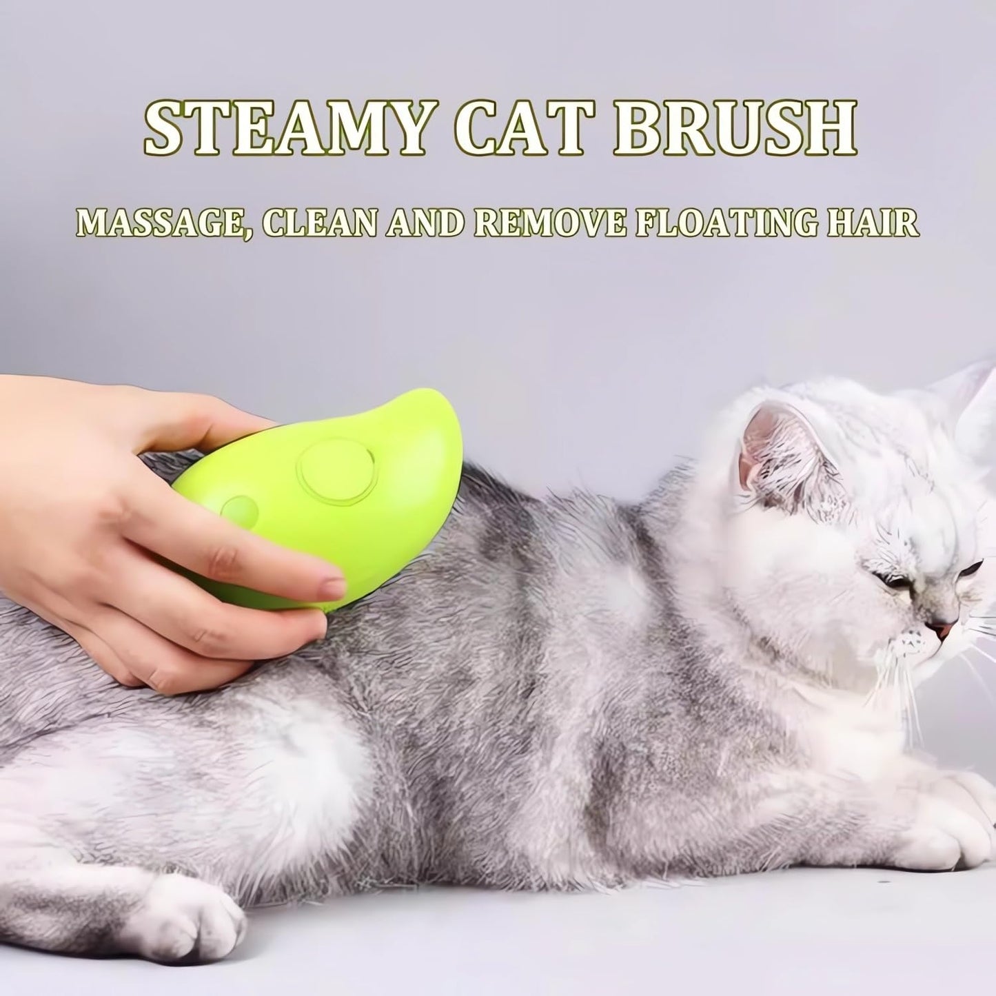 Pet Steamy Brush