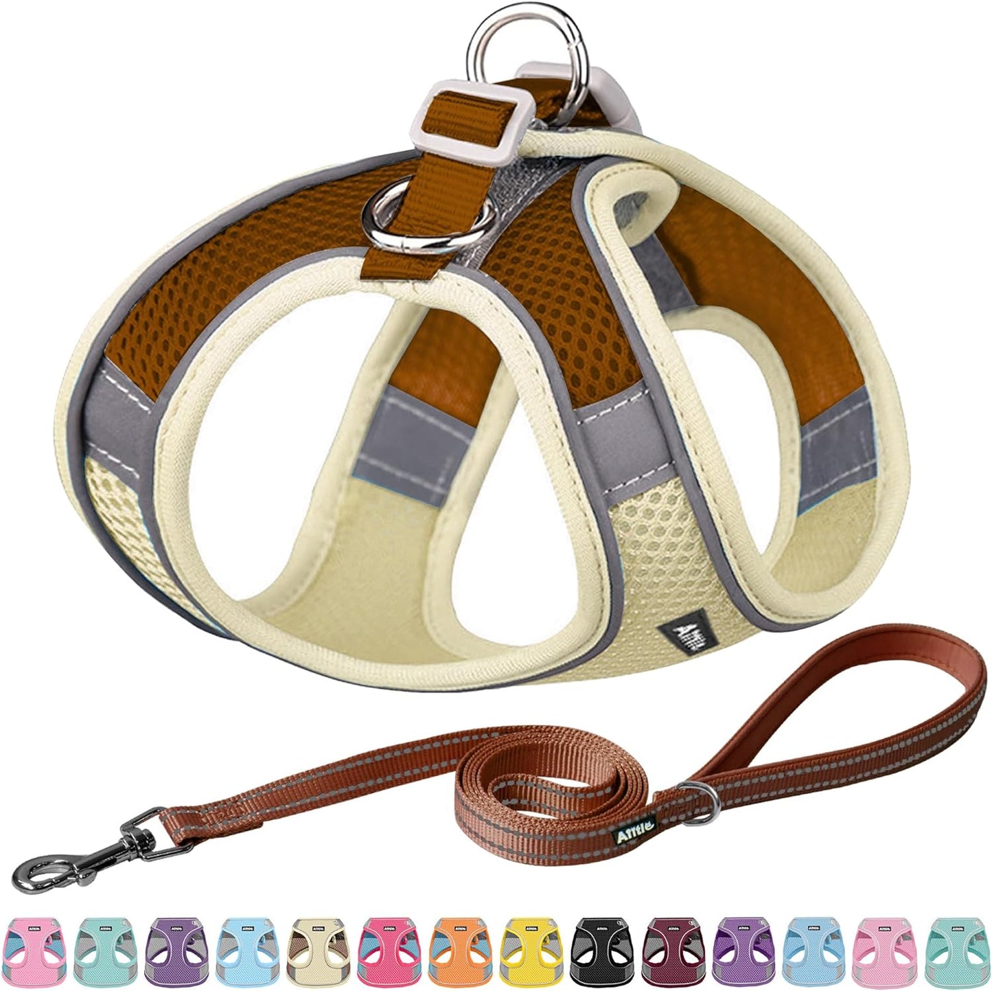 Pet Harness and Leash Set