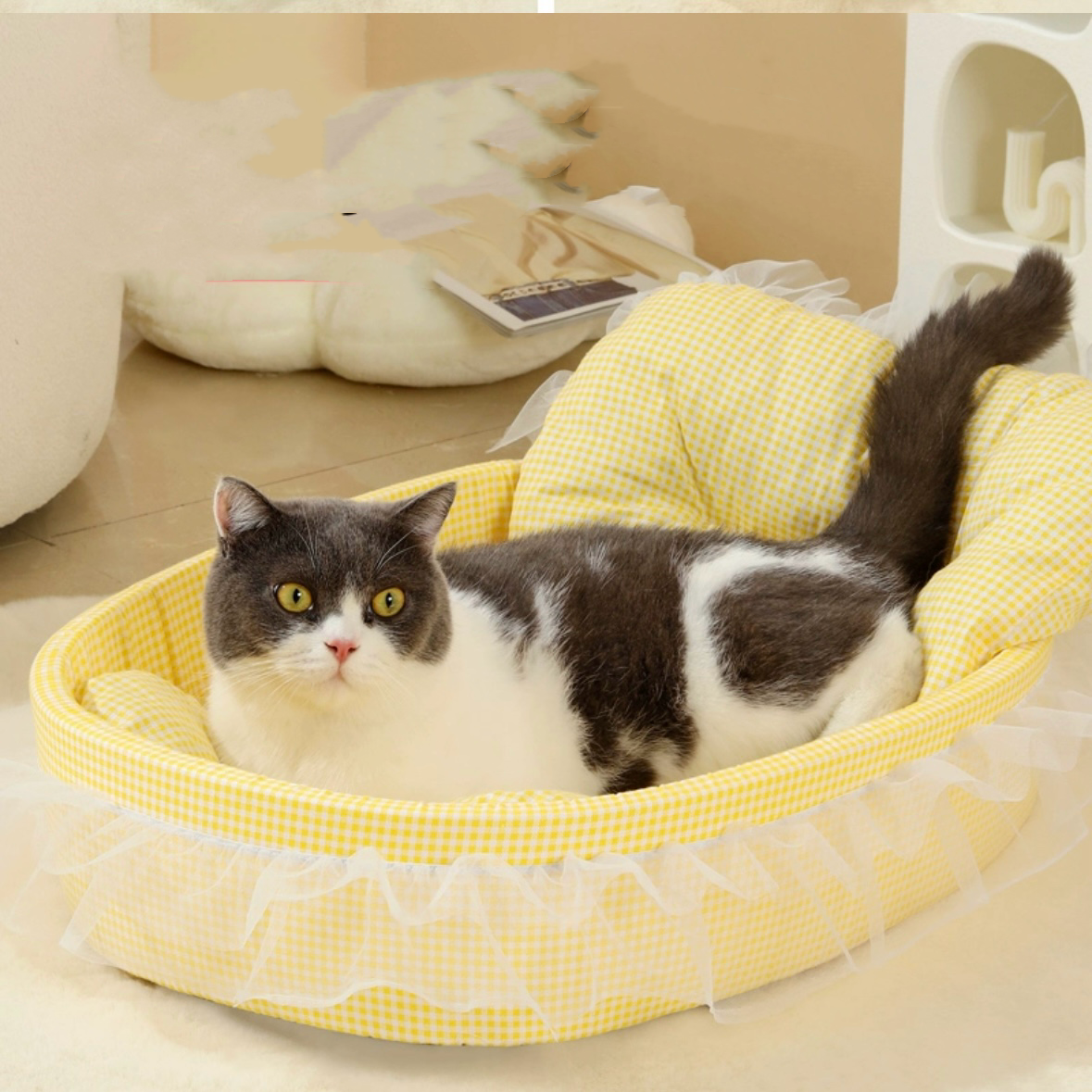 Cat Bed Macaron Color