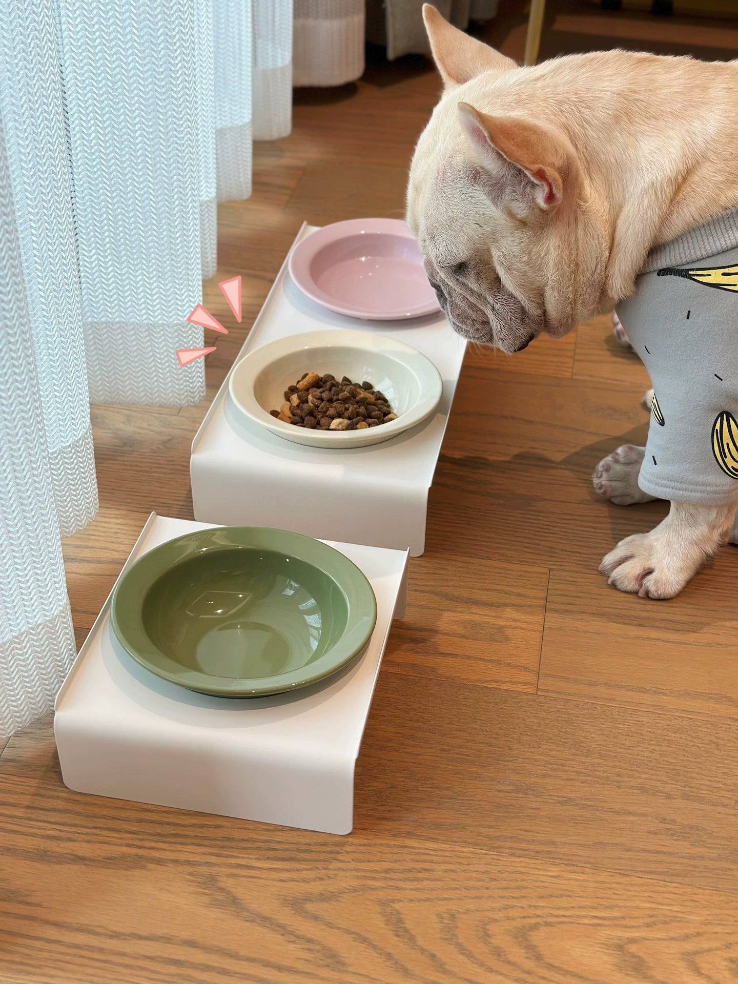 Ceramic pet bowl