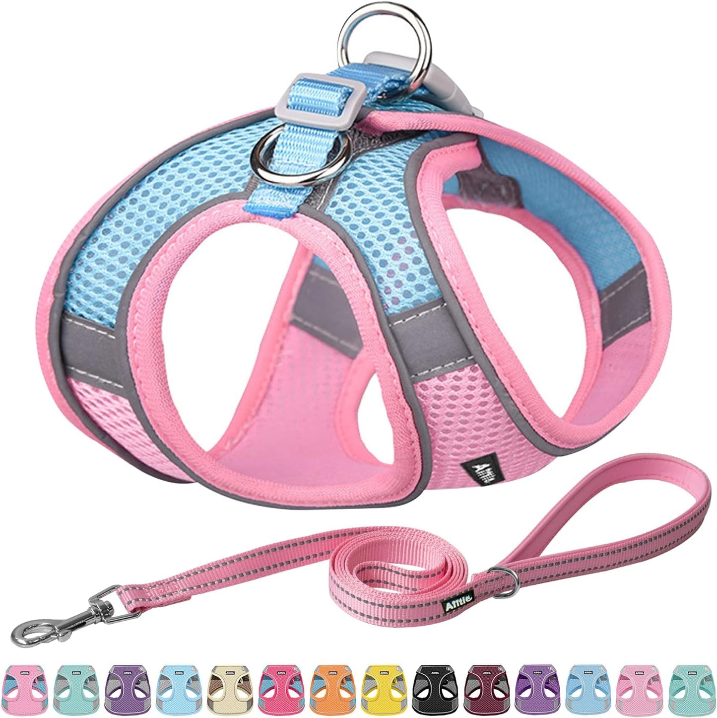 Pet Harness and Leash Set