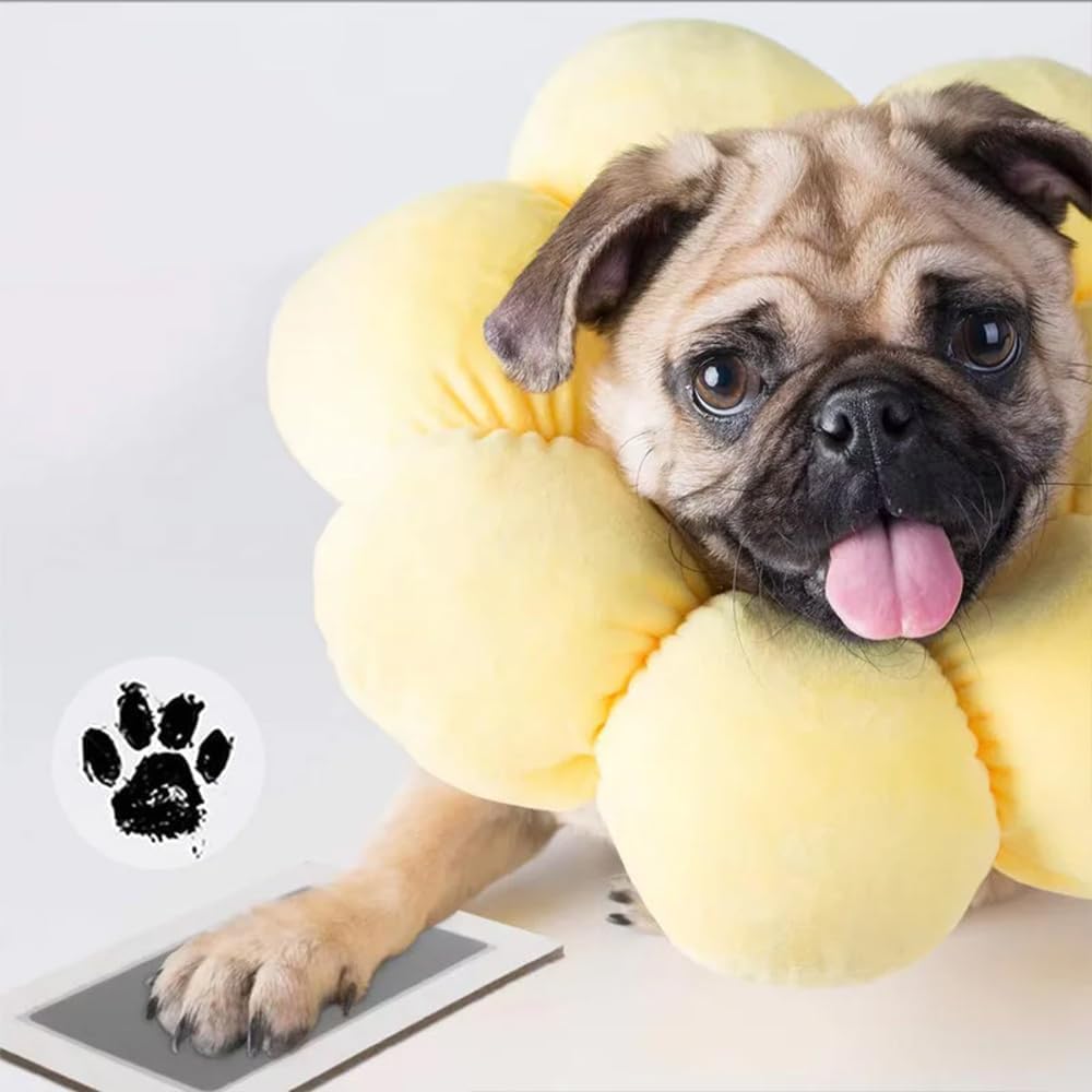 Pet Paw Printing Kit,Inkless Hand and Footprint Kit,Ink Pad for Baby Hand and Footprints